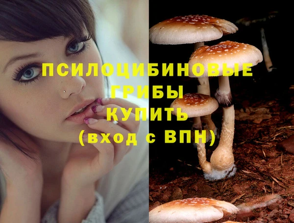 скорость Алексин