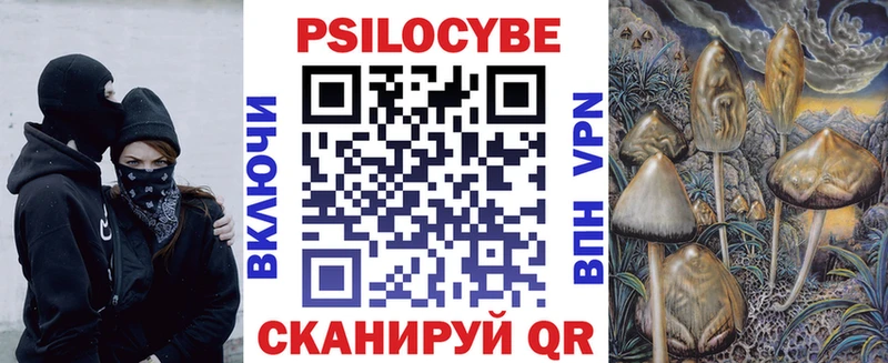 Псилоцибиновые грибы Psilocybine cubensis  Чусовой 